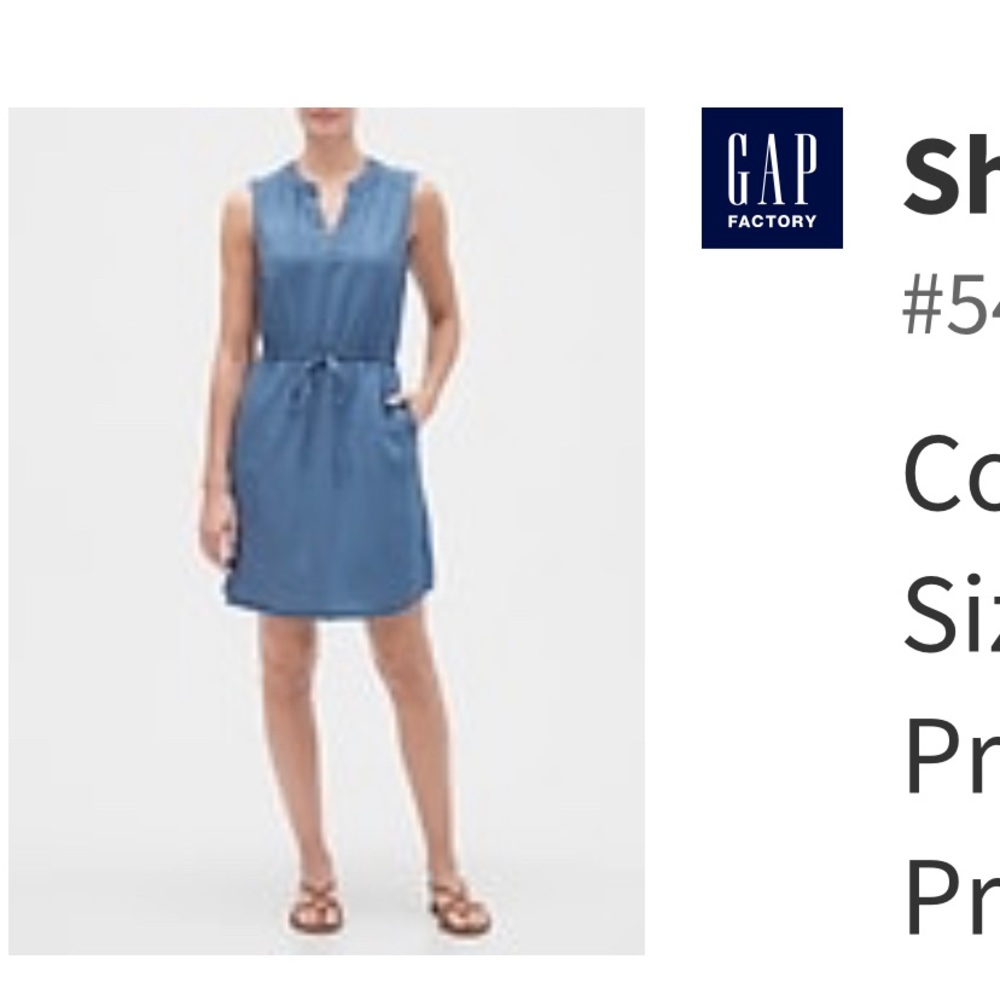 GAP Chambray Dress